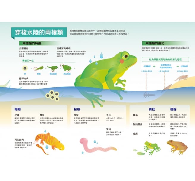 漫畫大英百科 生物地科 （1～5集）